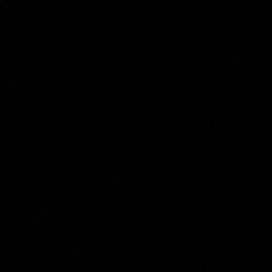 Meet your Posher, Audrey